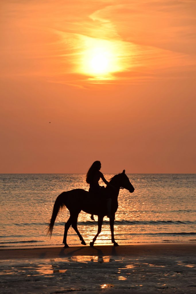 Horse Back Riding Fuerteventura